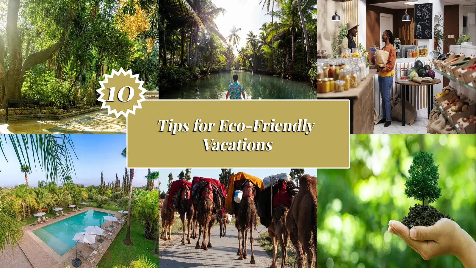 Go%20Green%20on%20Your%20Next%20Trip%20Top%20Tips%20for%20an%20Eco-Friendly%20Vacation-ENG Sunonseas Villas | Travel BookSunonseasvillas, luxury villa rentals with tailor made concierge services. Carribean, Indian Ocean, Europe, Africa ... Rent our carefully selected villas.  
