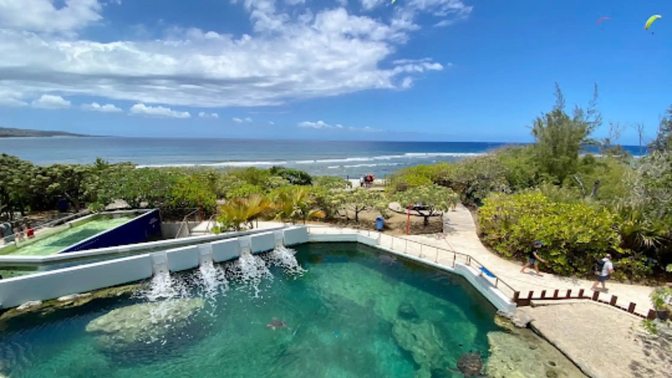 Kelonia Top 10 Places to Visit in Reunion Island Sunonseasvillas, luxury villa rentals with tailor made concierge services. Carribean, Indian Ocean, Europe, Africa ... Rent our carefully selected villas.  