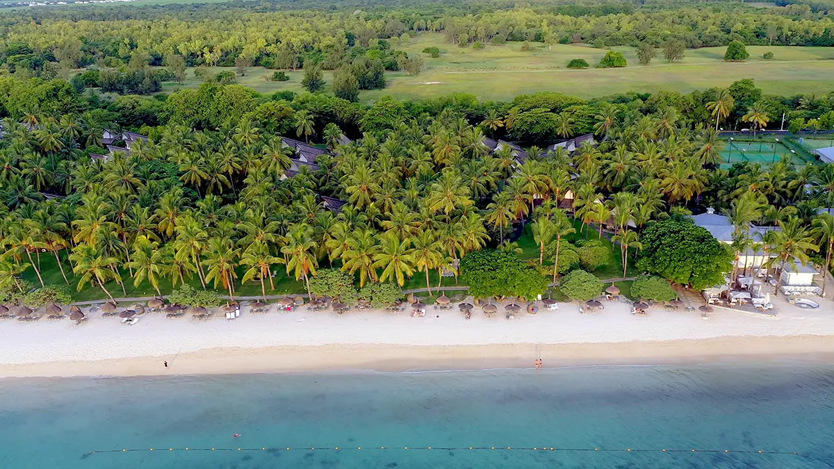 Black River Gorges National Park: Explore the Wild Side