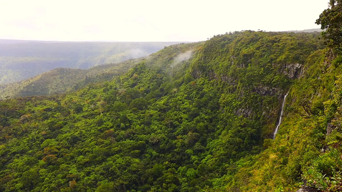 Casela Nature Parks: A Thrilling Experience for All Ages