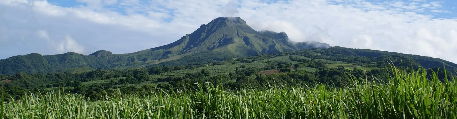 Martinique 4