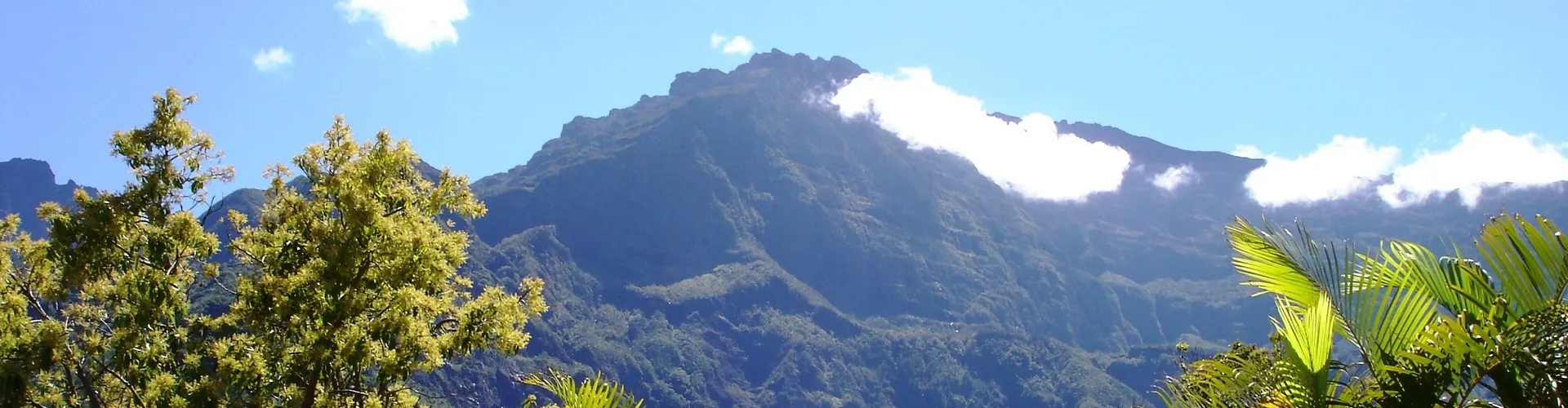 Réunion 2