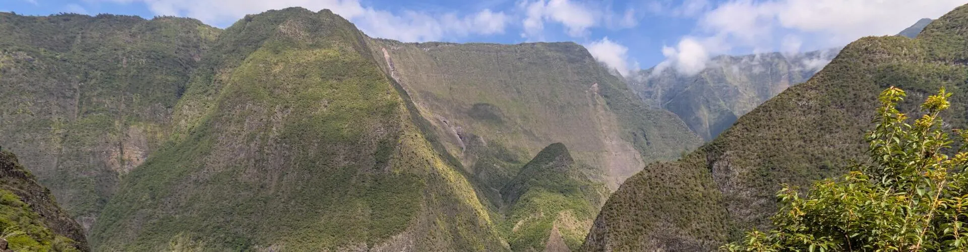 Réunion 3