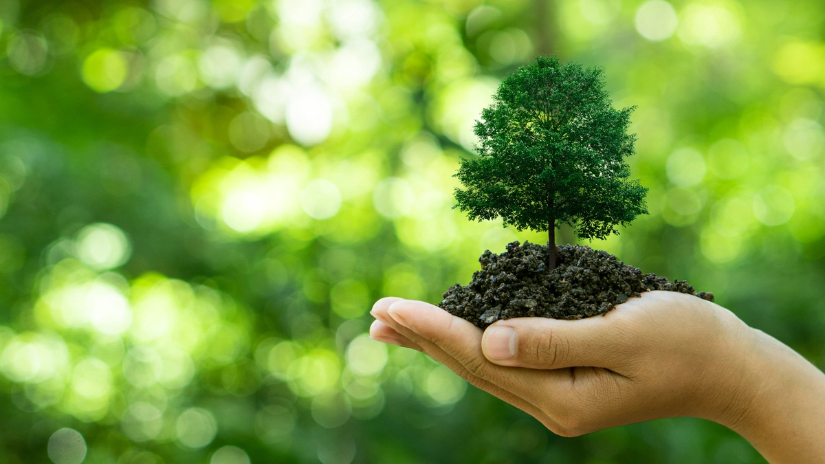 Carbon Offset